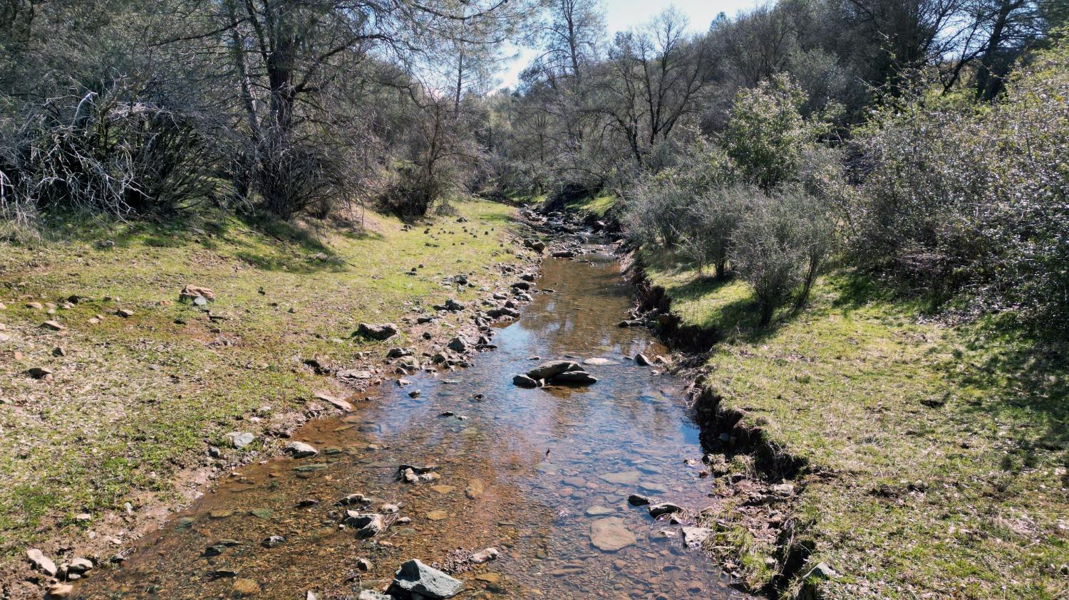 TBD Blacks Creek Road, Coulterville, California image 3