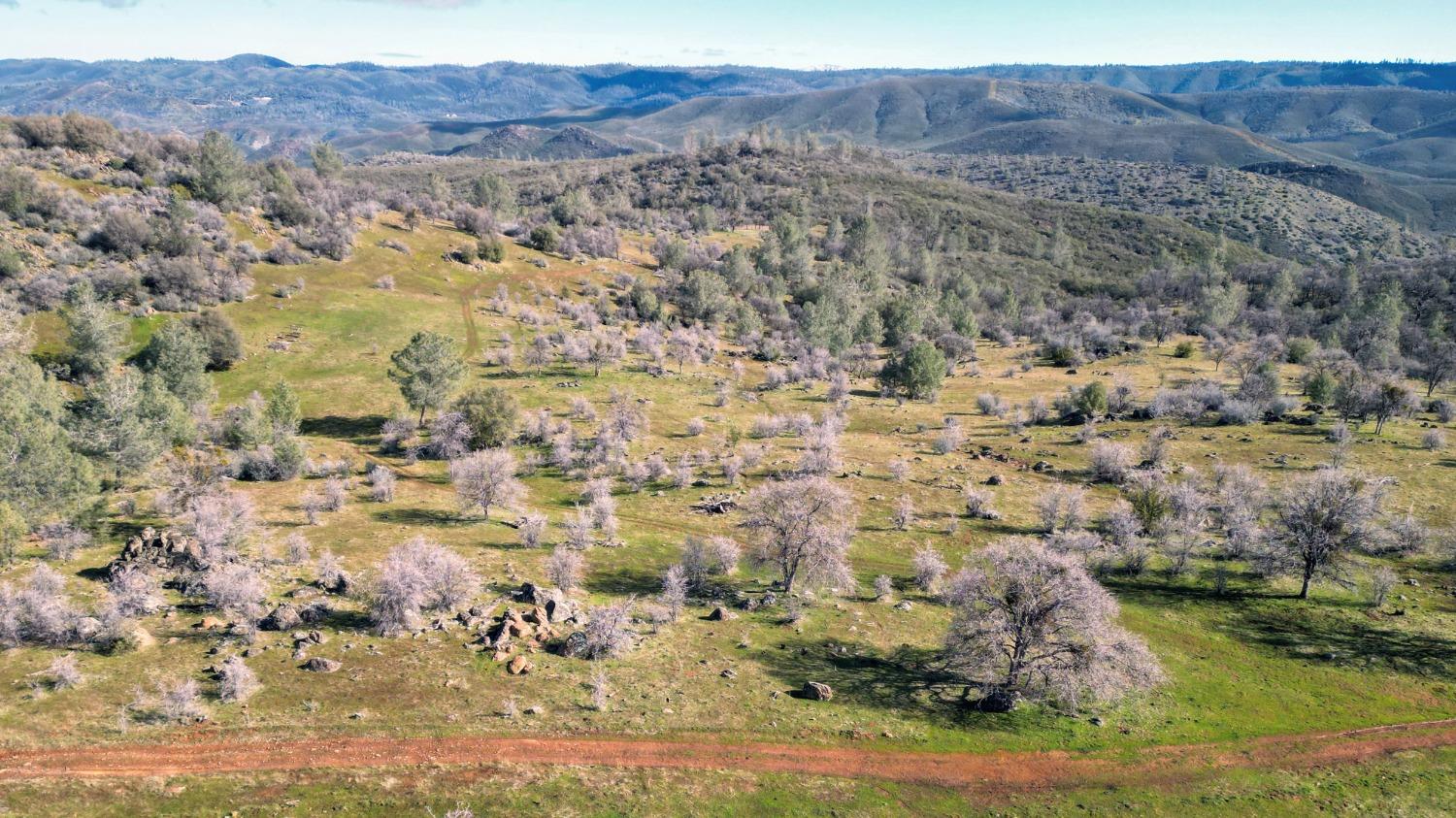 TBD Blacks Creek Road, Coulterville, California image 8