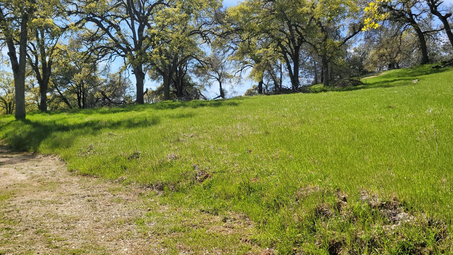 Applejack Drive, Grass Valley, California image 4