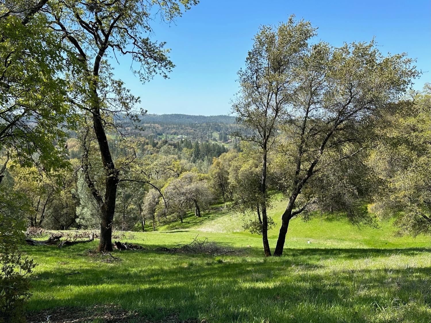 Lot 217 Darkhorse Drive, Auburn, California image 2