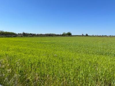 537 E Clausen Road, Turlock, CA 95380
