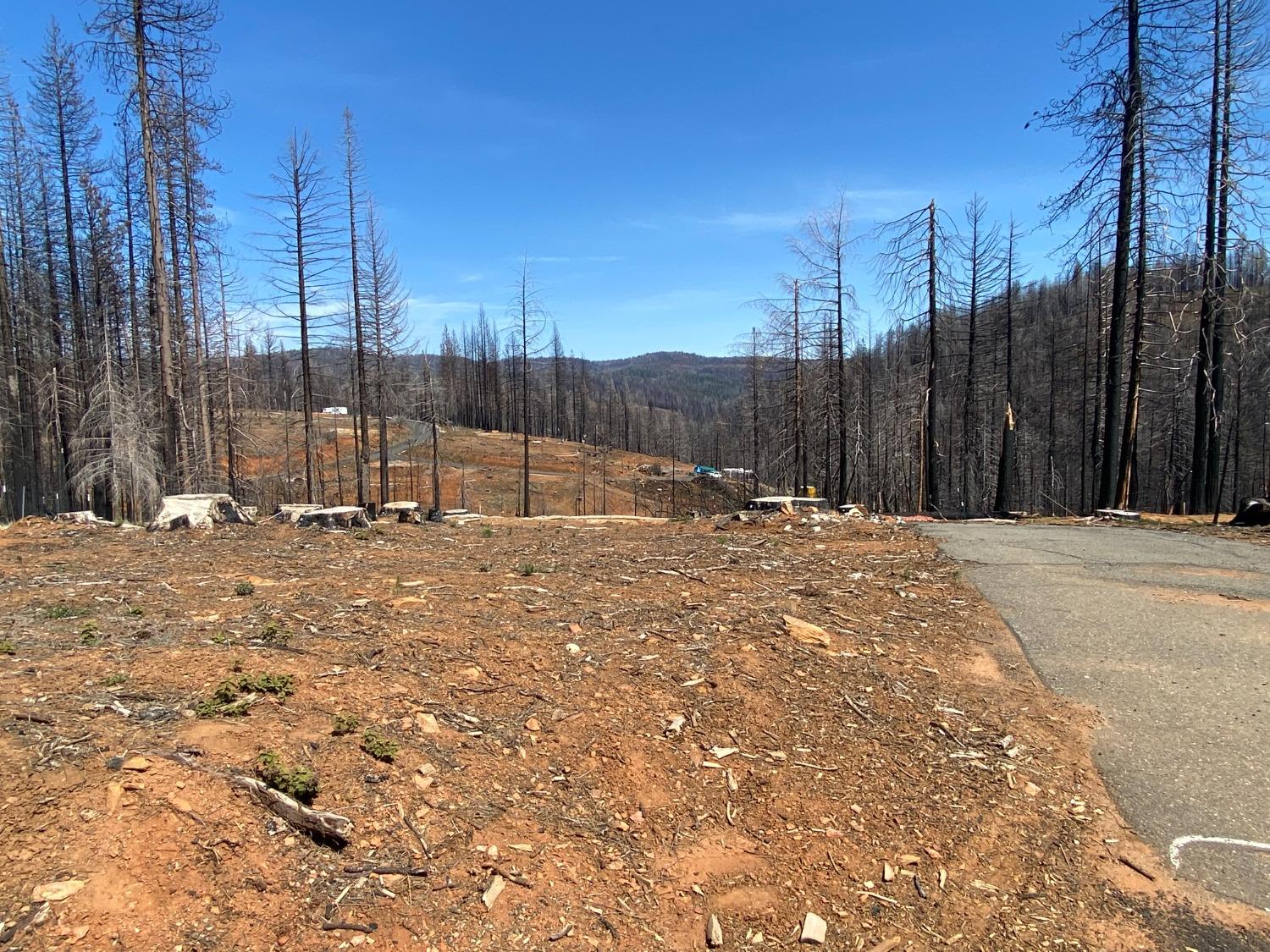 Photo of 5308 Golden Aspen Dr in Grizzly Flats, CA