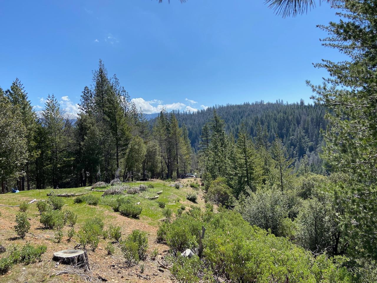 Photo of 5063 Moore Rd in Wilseyville, CA