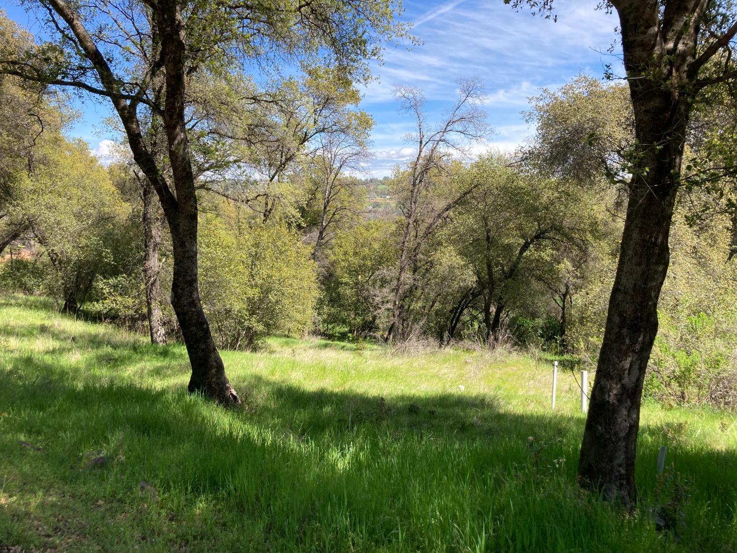 Photo of 11190 Valle Vista Ct in Auburn, CA
