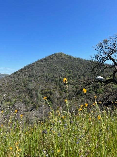 Apache Ranch Road, Ahwahnee, California image 17