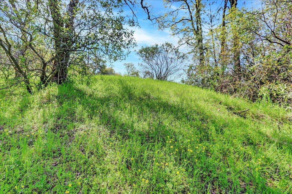 Southridge Drive, Penn Valley, California image 18