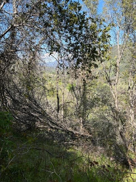 Apache Ranch Road, Ahwahnee, California image 13