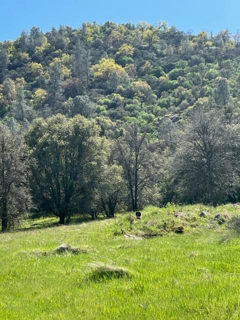 Apache Ranch Road, Ahwahnee, California image 1