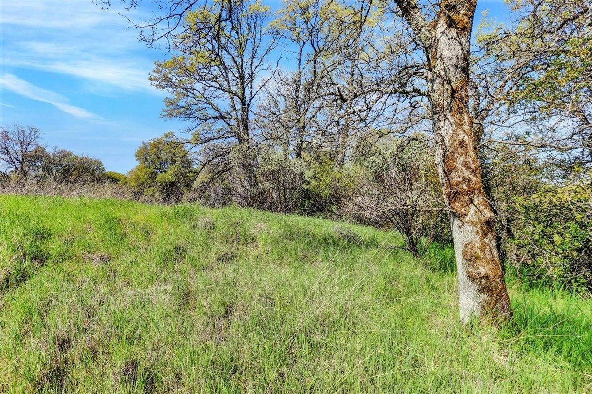 Southridge Drive, Penn Valley, California image 16