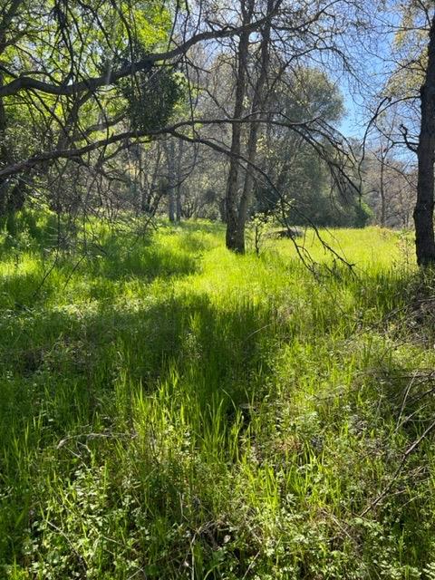 Apache Ranch Road, Ahwahnee, California image 15