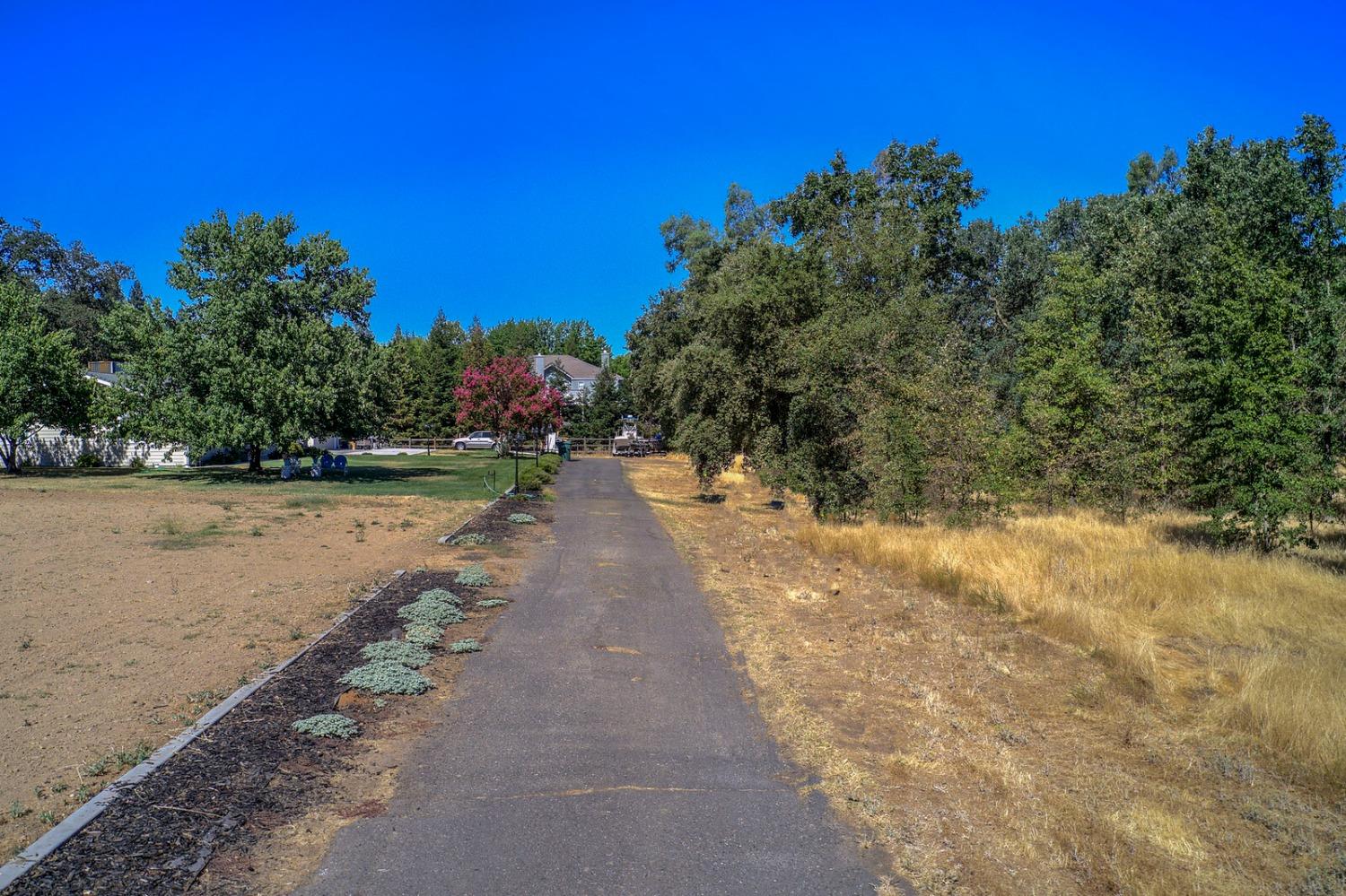 Hickory Avenue, Orangevale, California image 4