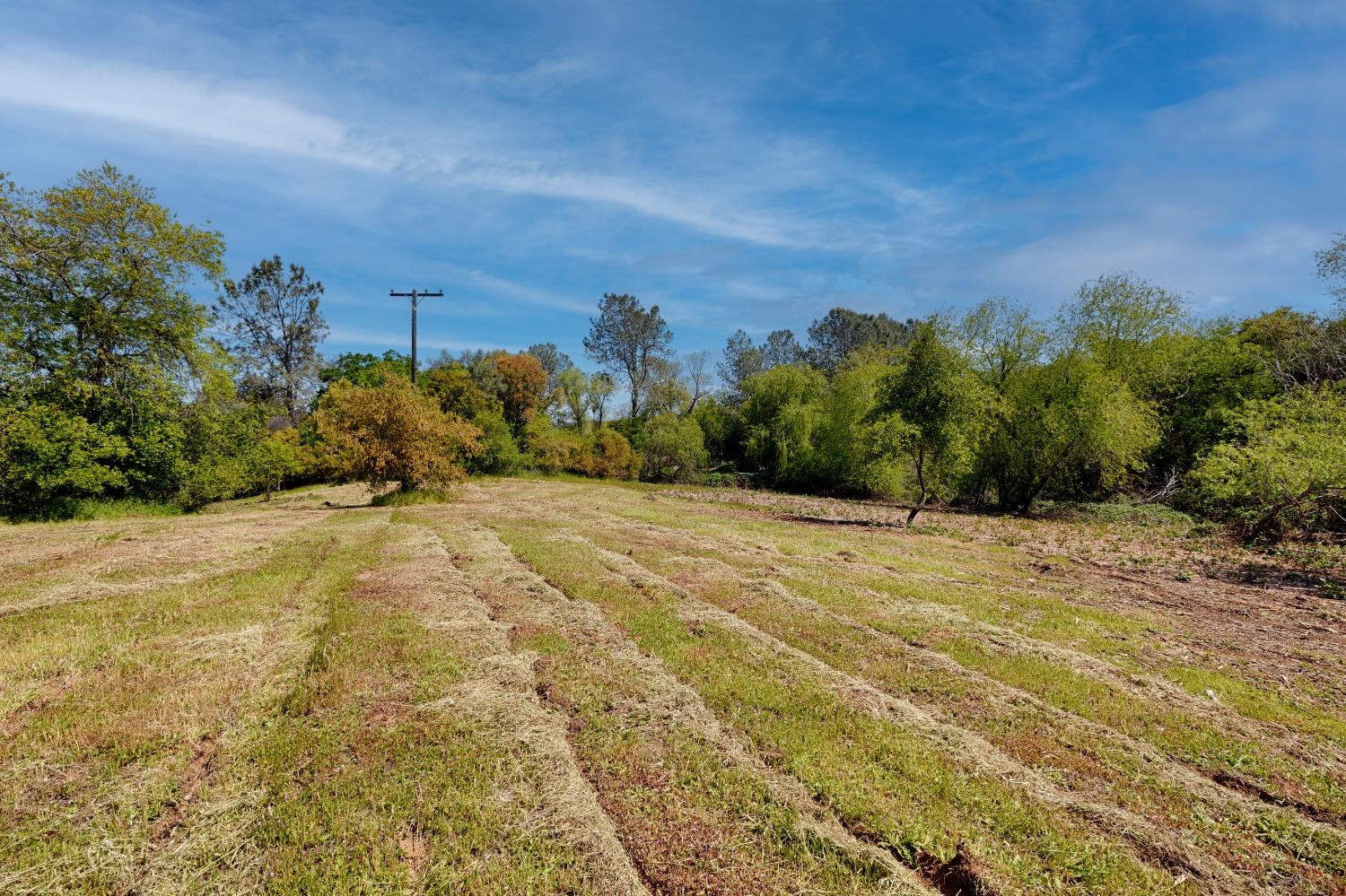 Munoz Avenue, Penryn, California image 10