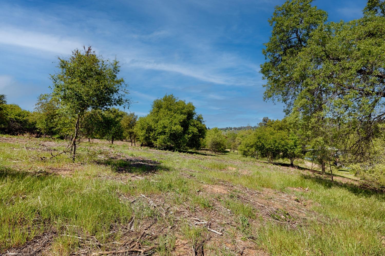 Munoz Avenue, Penryn, California image 8