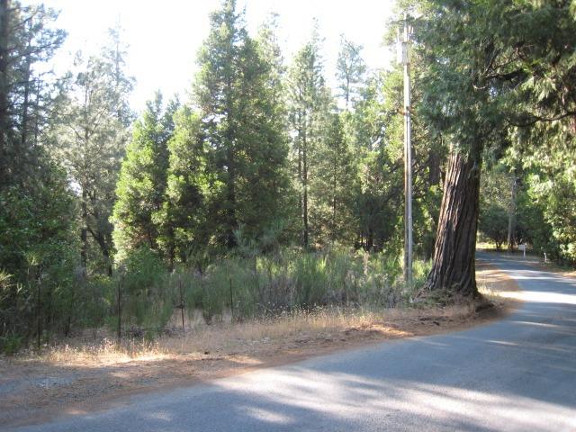 B Buffalo Hill Road, Georgetown, California image 2