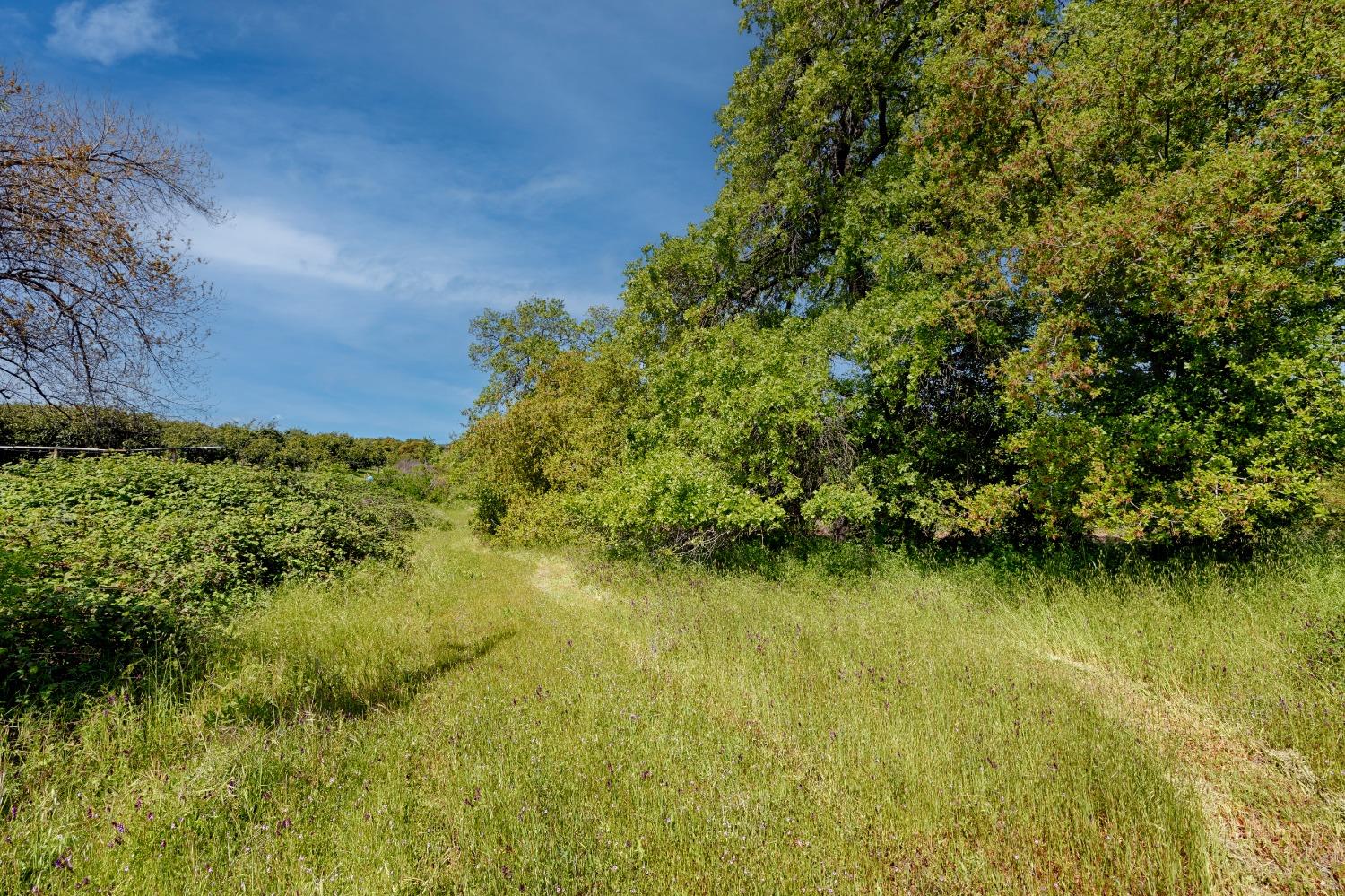 Munoz Avenue, Penryn, California image 11