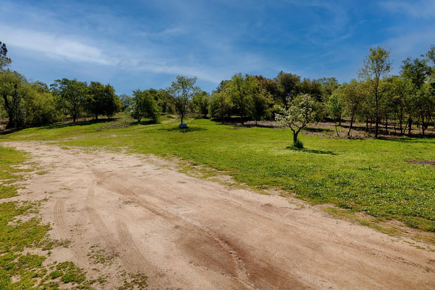 Munoz Avenue, Penryn, California image 4