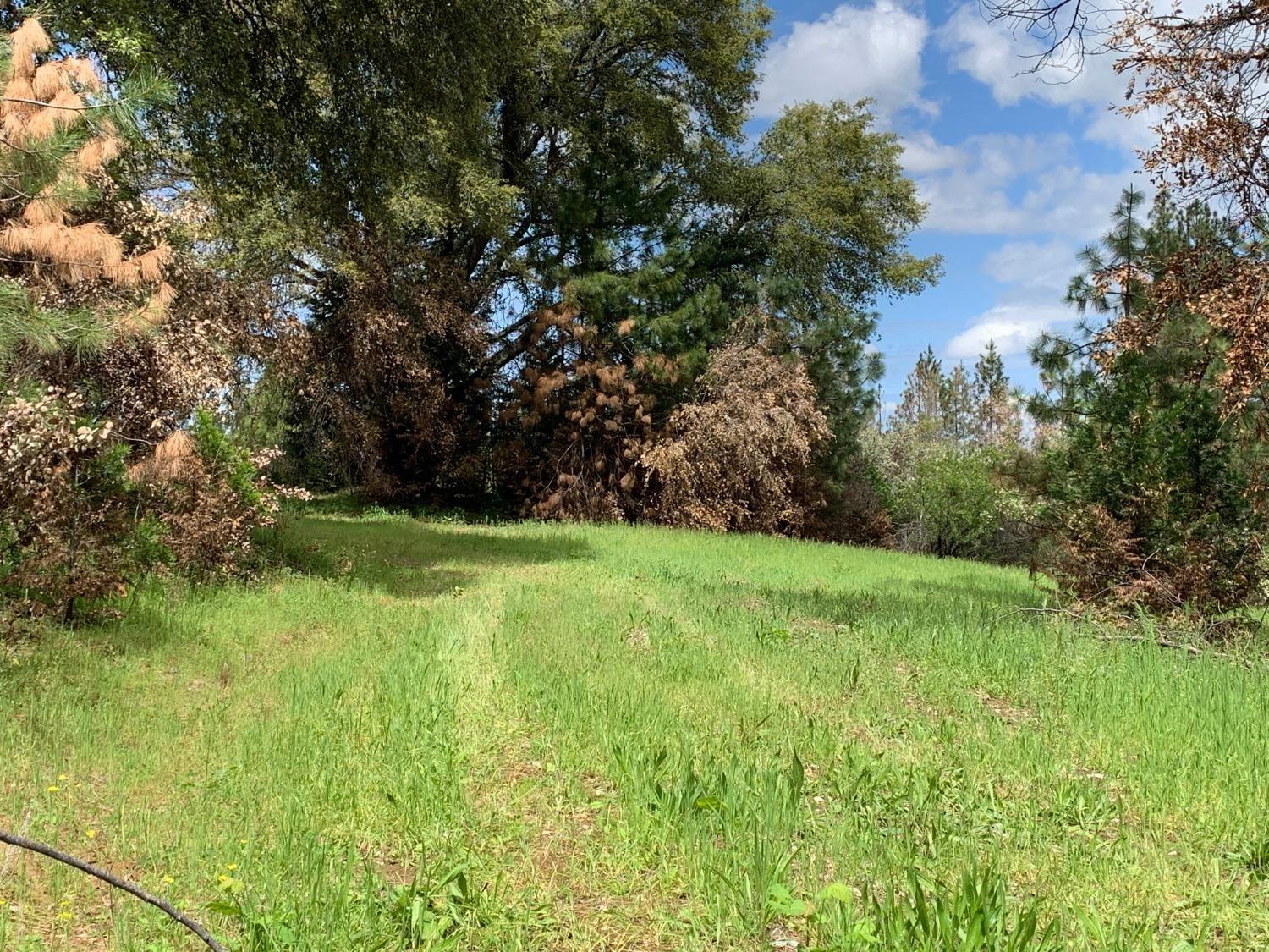Photo of 8141 Canyon View Dr in Somerset, CA