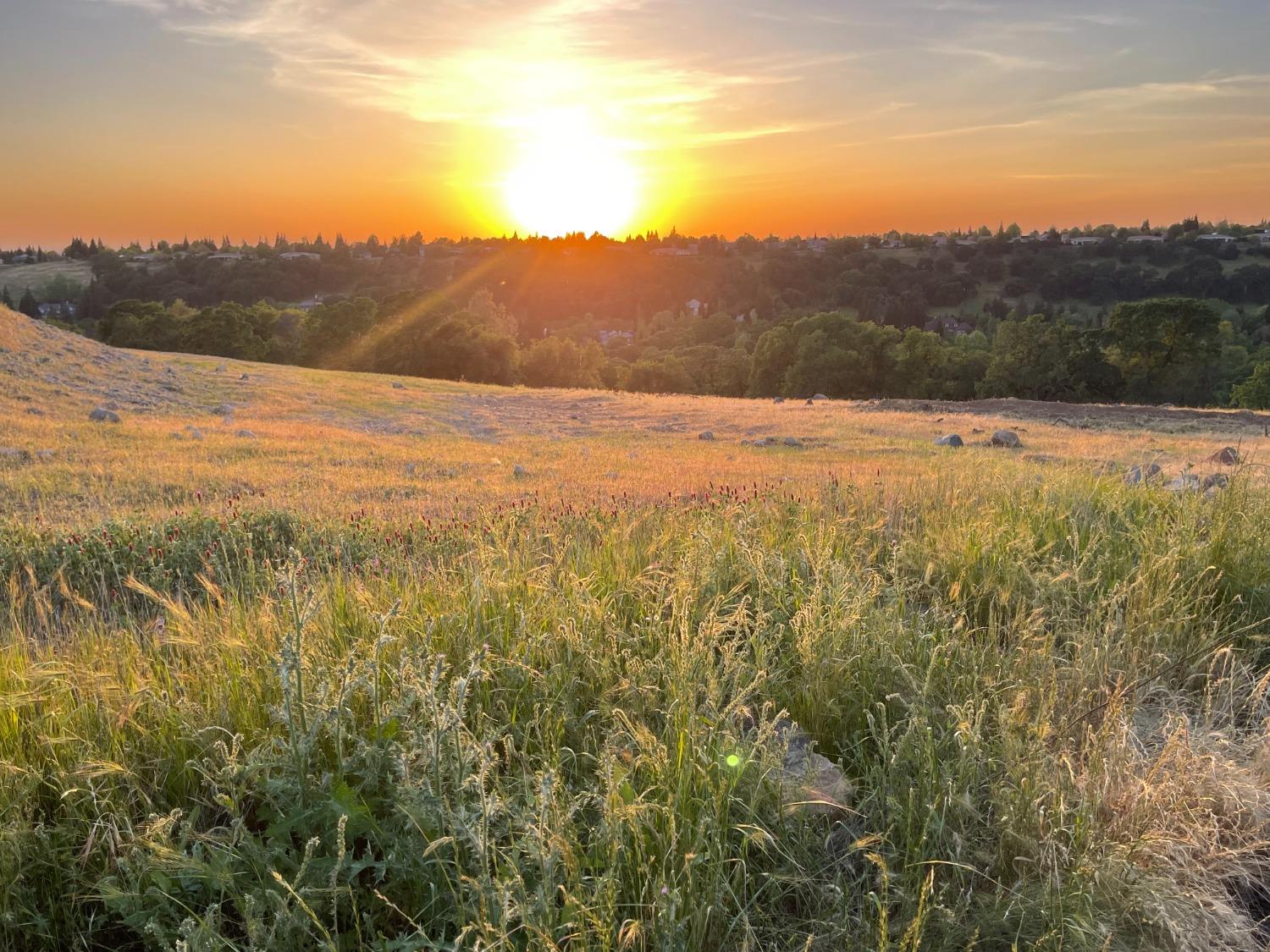 Photo of Skyline Dr in Rocklin, CA