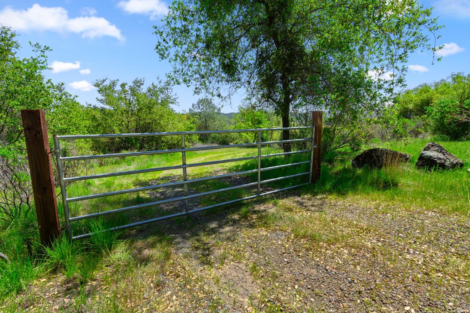 Oak Hill Drive, Rough and Ready, California image 23