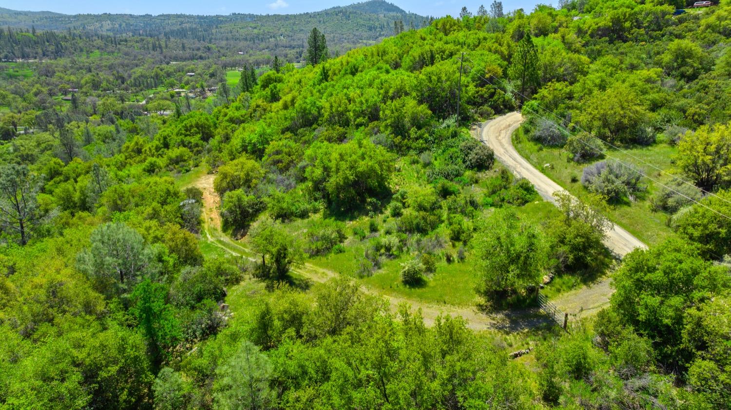 Oak Hill Drive, Rough and Ready, California image 5