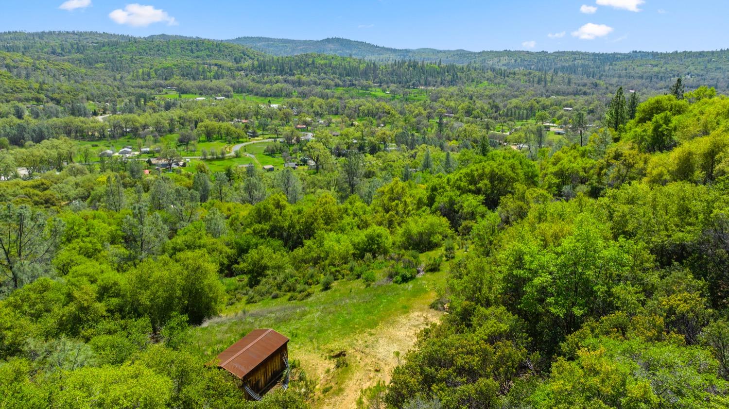 Oak Hill Drive, Rough and Ready, California image 19