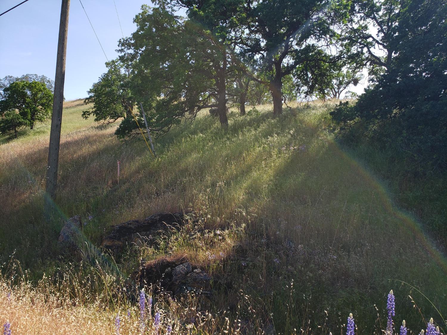 Mirasol Way, La Grange, California image 7