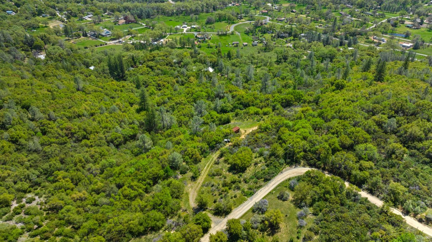 Oak Hill Drive, Rough and Ready, California image 8