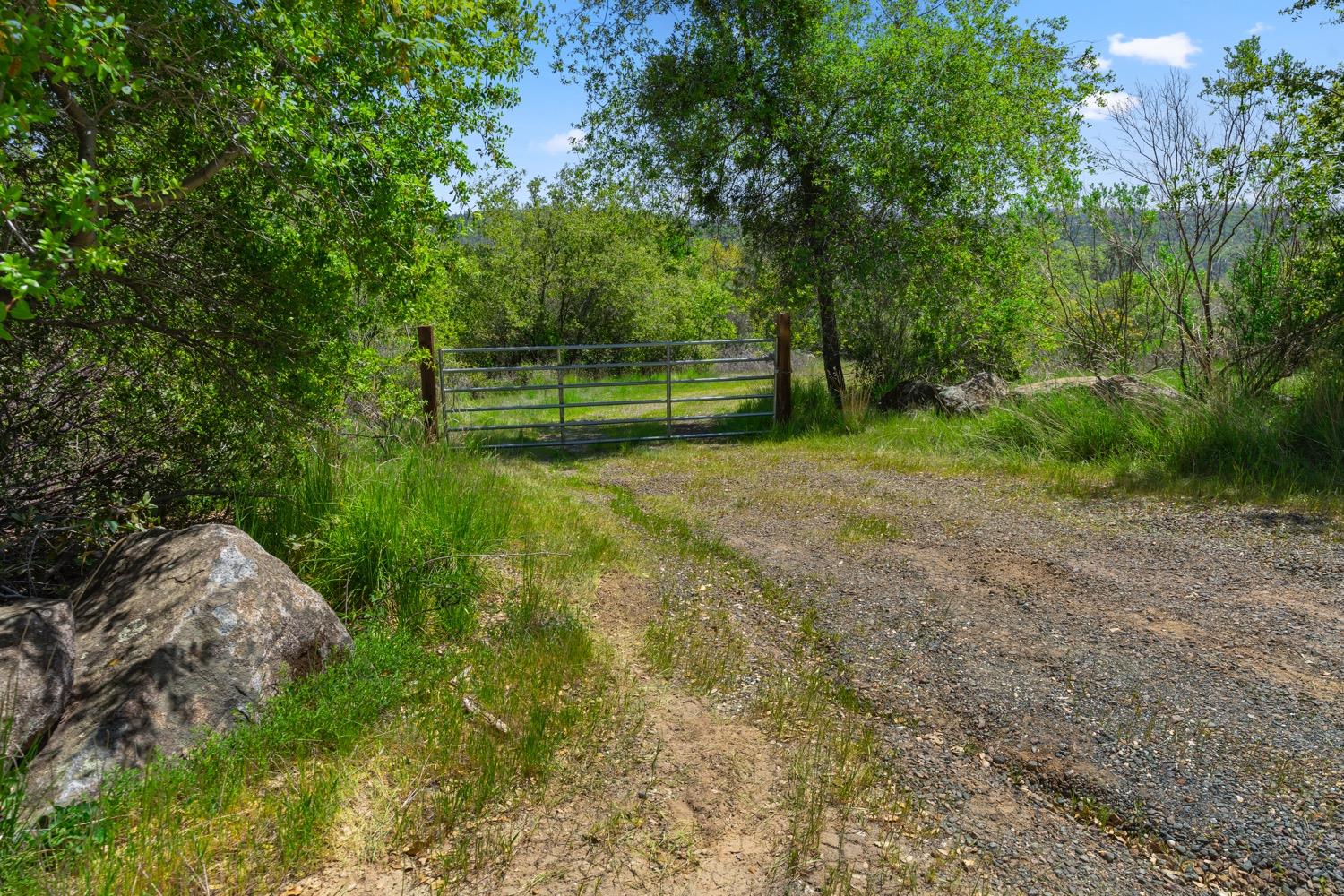 Oak Hill Drive, Rough and Ready, California image 9