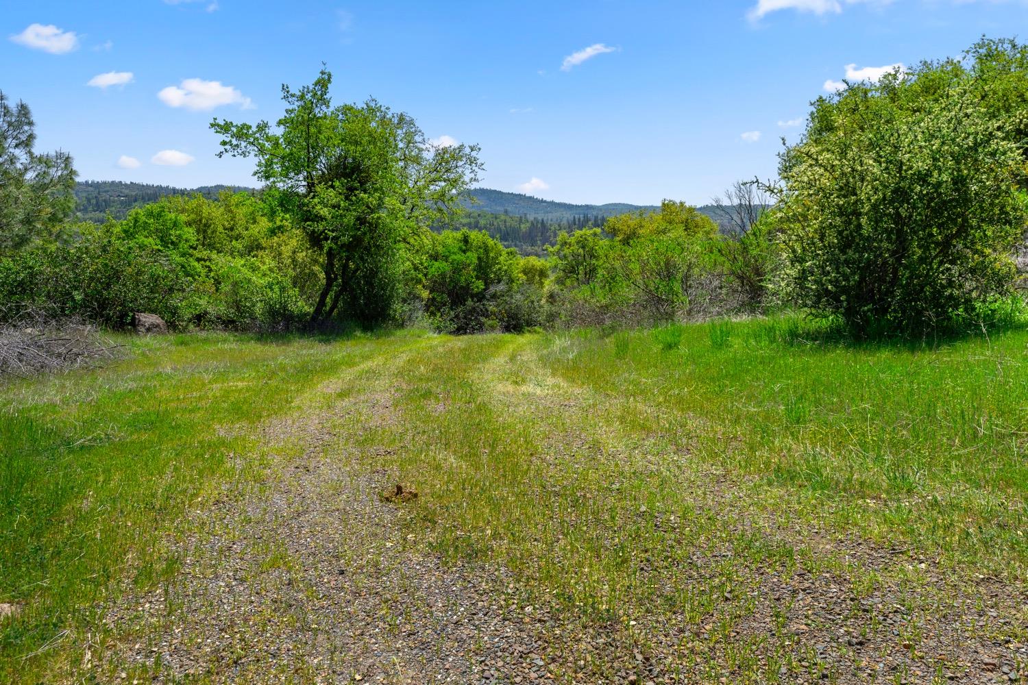 Oak Hill Drive, Rough and Ready, California image 25