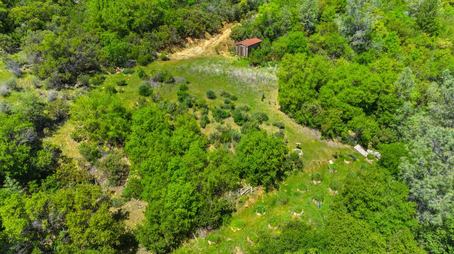 Oak Hill Drive, Rough and Ready, California image 17