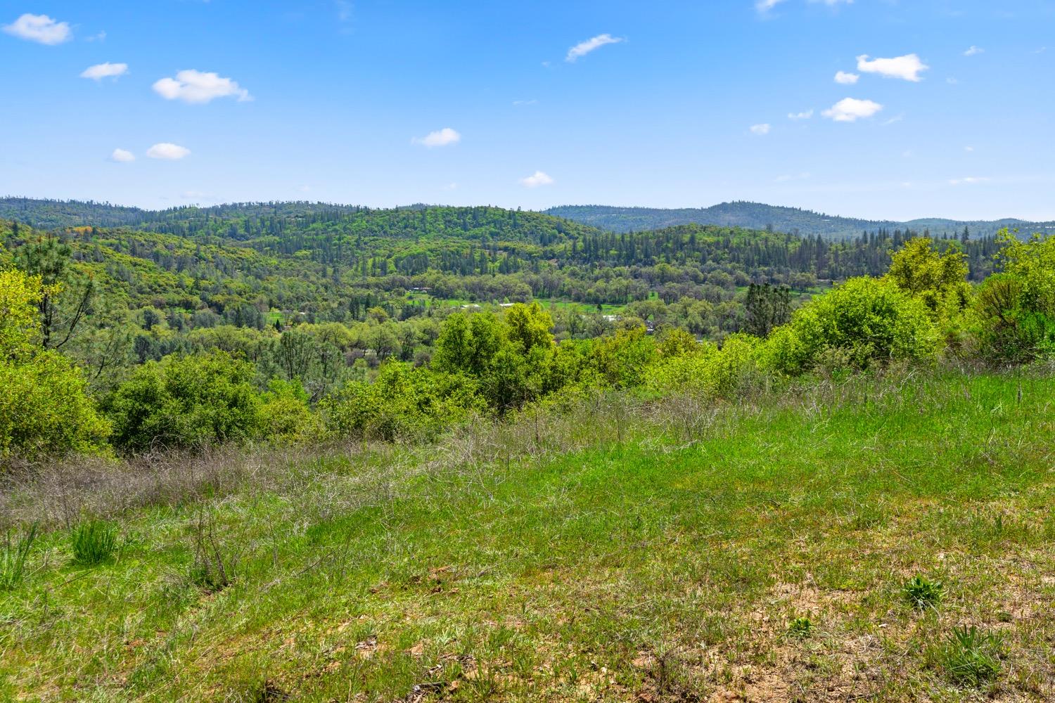 Oak Hill Drive, Rough and Ready, California image 1