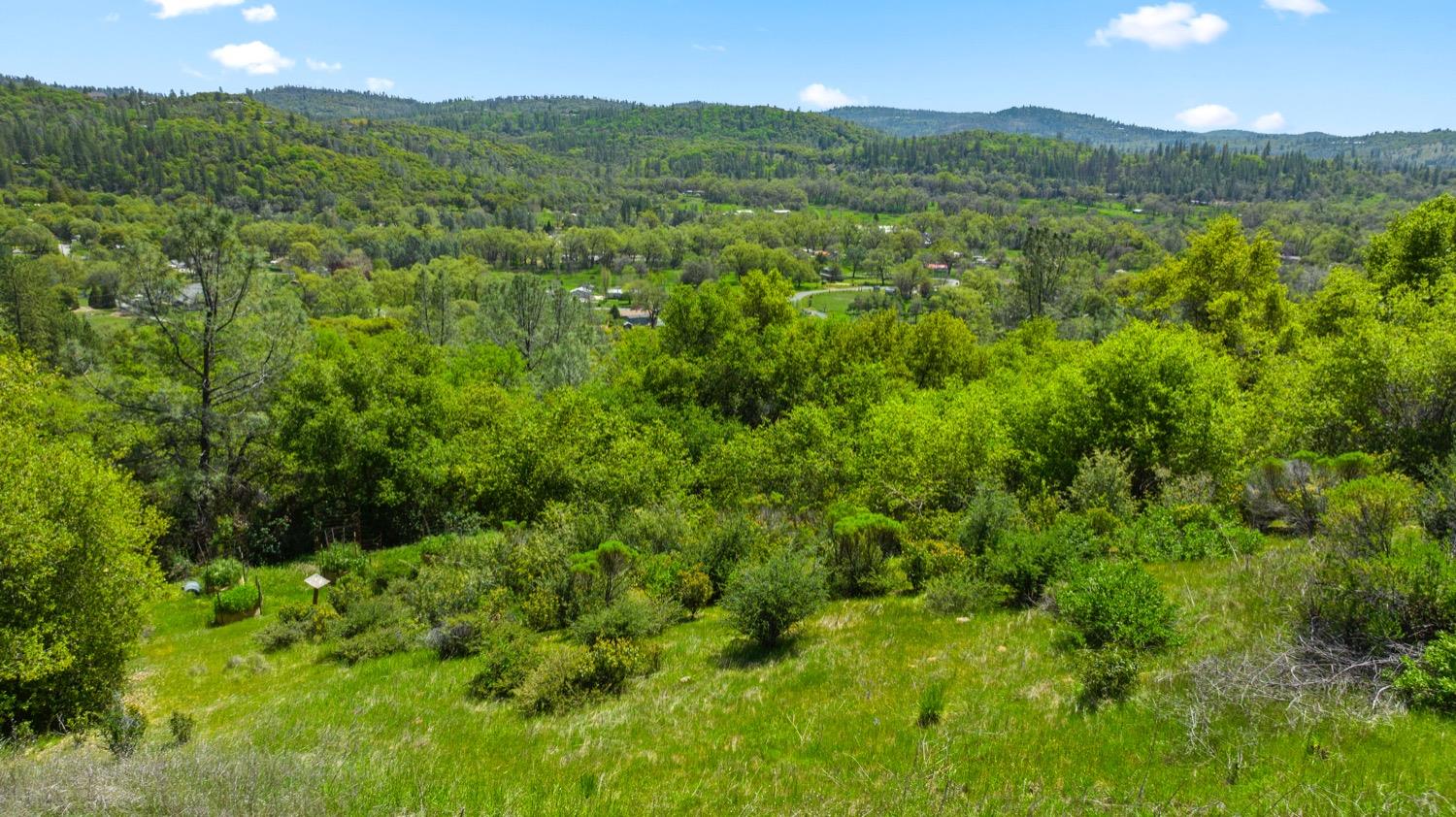 Oak Hill Drive, Rough and Ready, California image 15