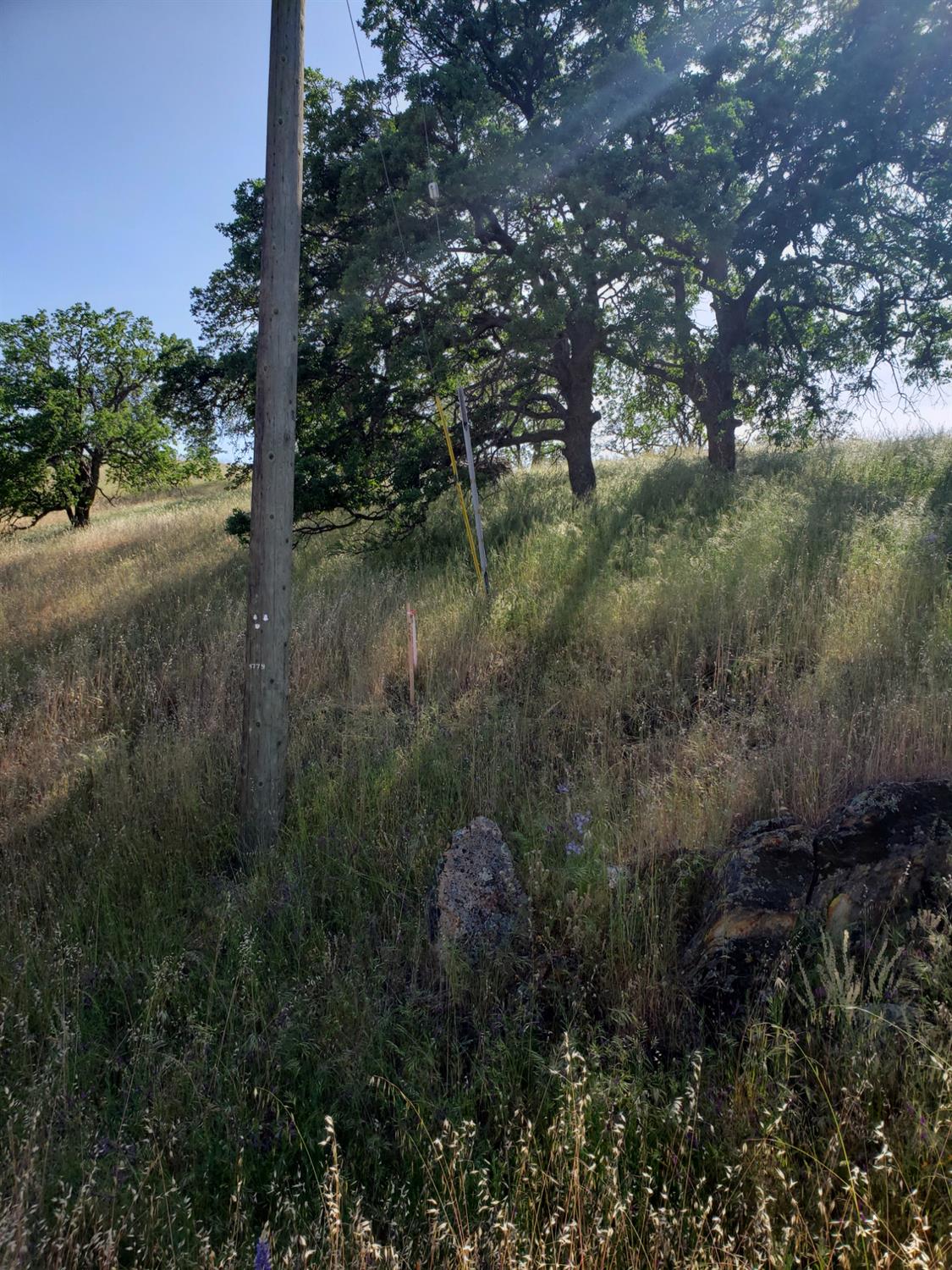 Mirasol Way, La Grange, California image 8