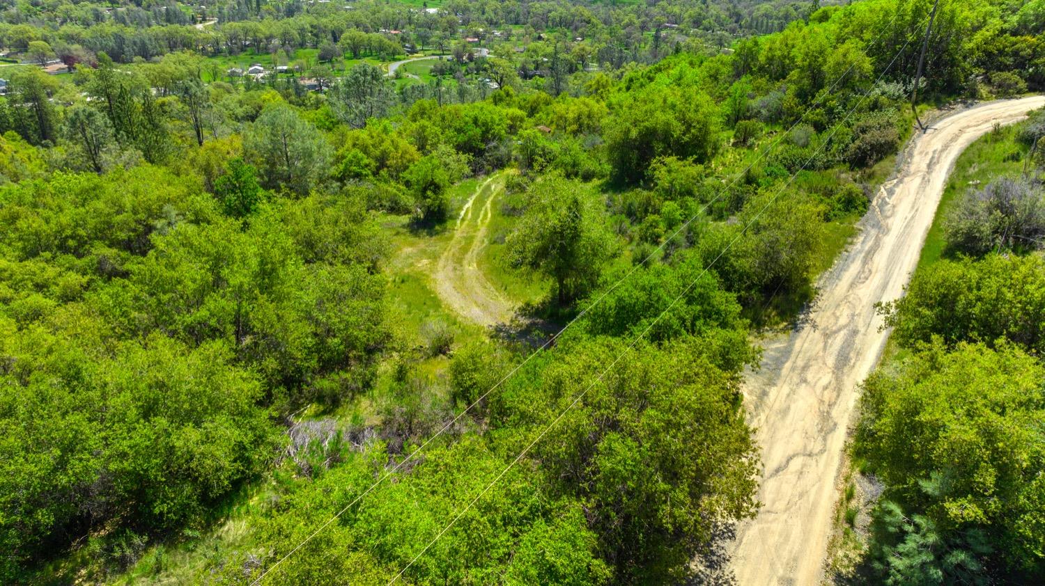 Oak Hill Drive, Rough and Ready, California image 4