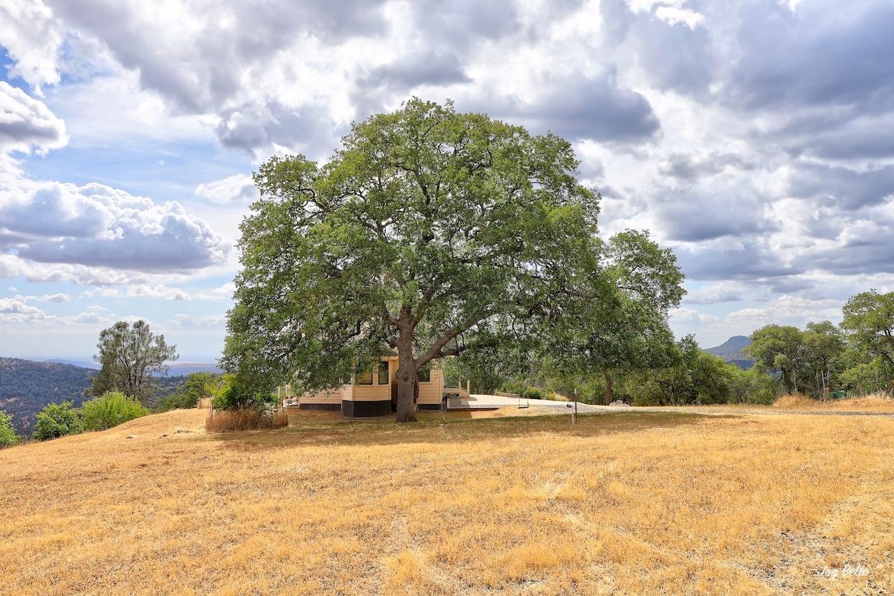 Jefferey Lane, Coulterville, California image 15