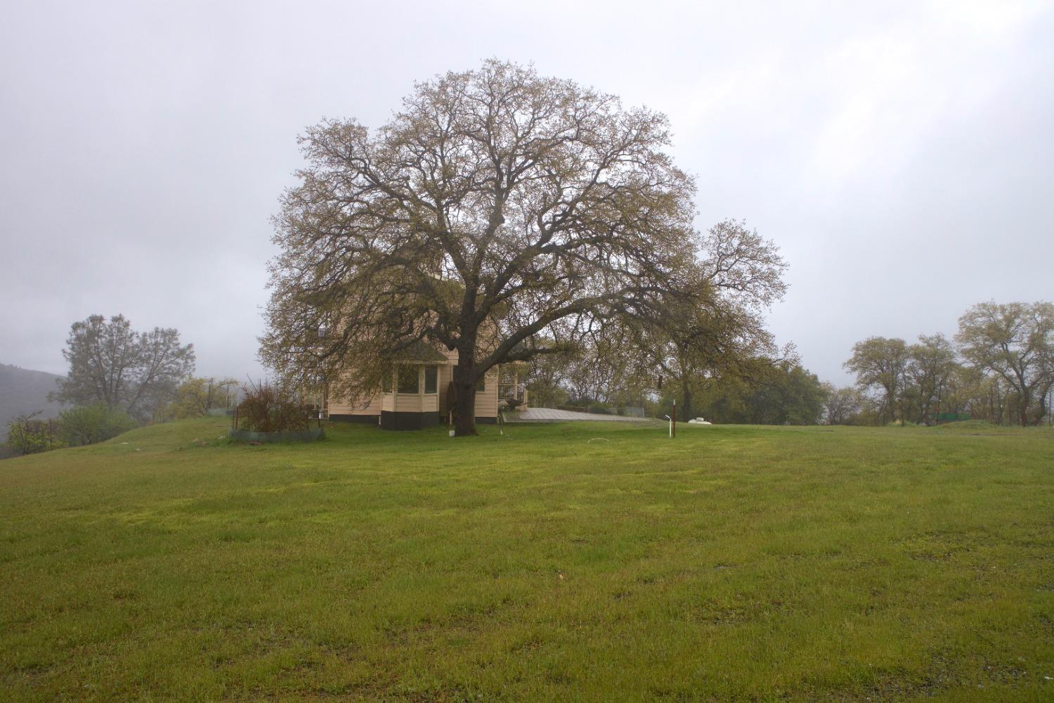 Jefferey Lane, Coulterville, California image 6