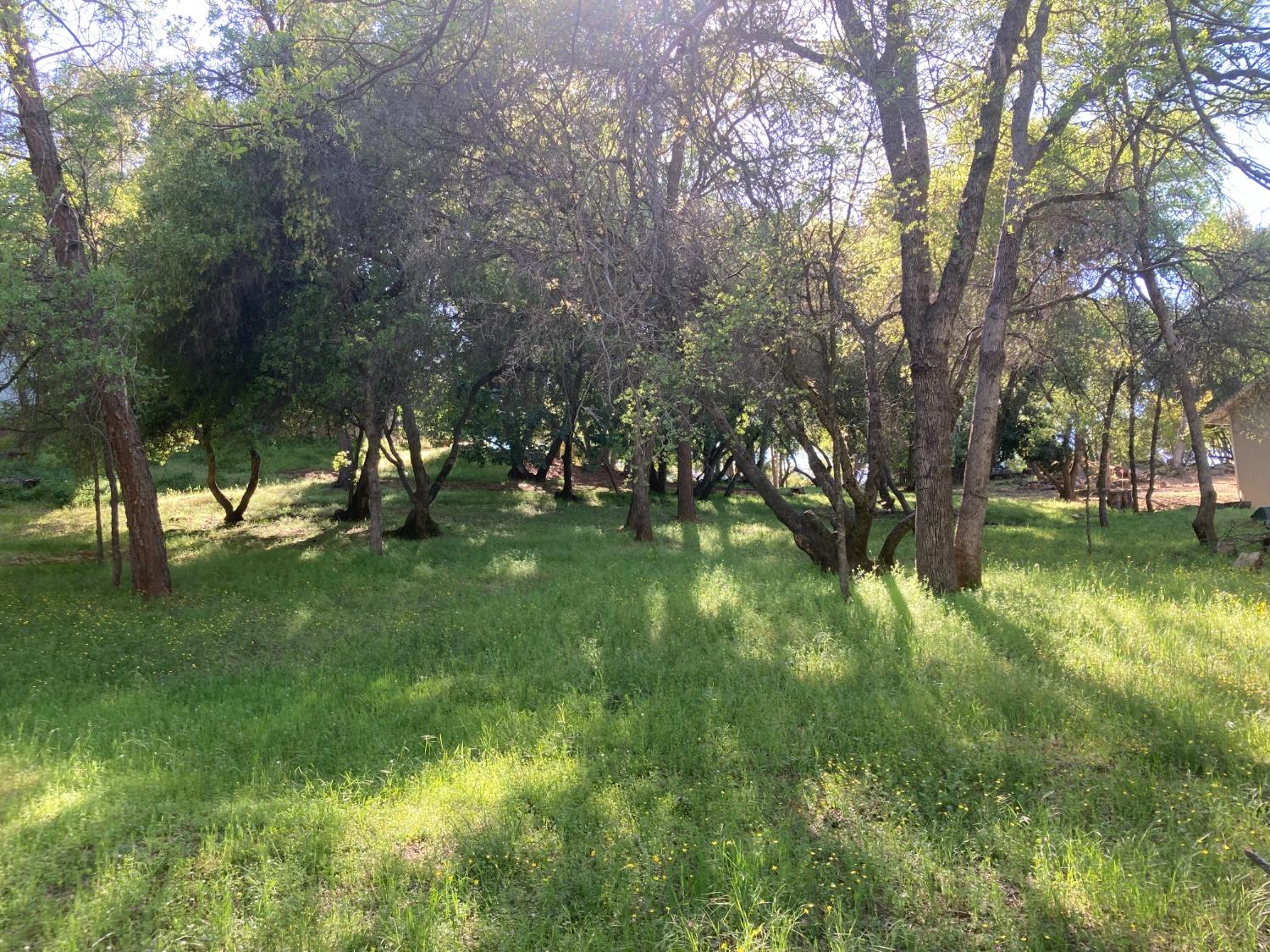 Photo of 0 Blue Tent Ct in Cool, CA