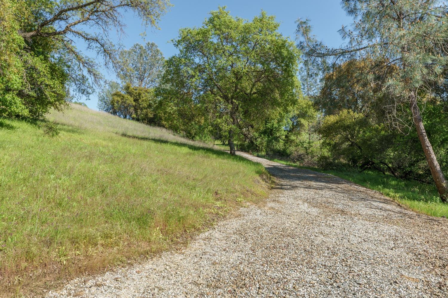 Detail Gallery Image 51 of 60 For 180 Lozanos Rd, Newcastle,  CA 95658 - – Beds | – Baths