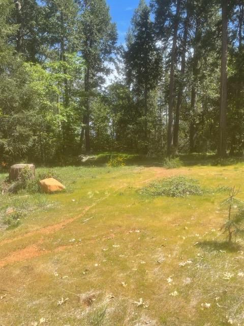 Photo of Foresthill Rd in Foresthill, CA