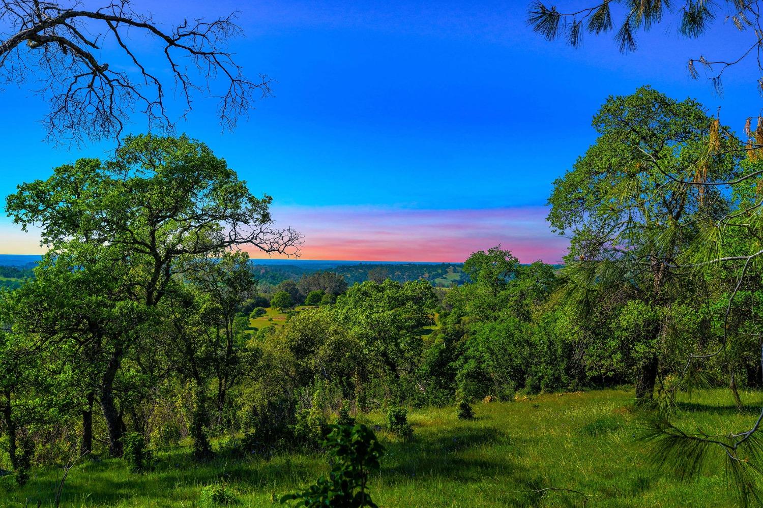 Highway 88, Sutter Creek, California image 3