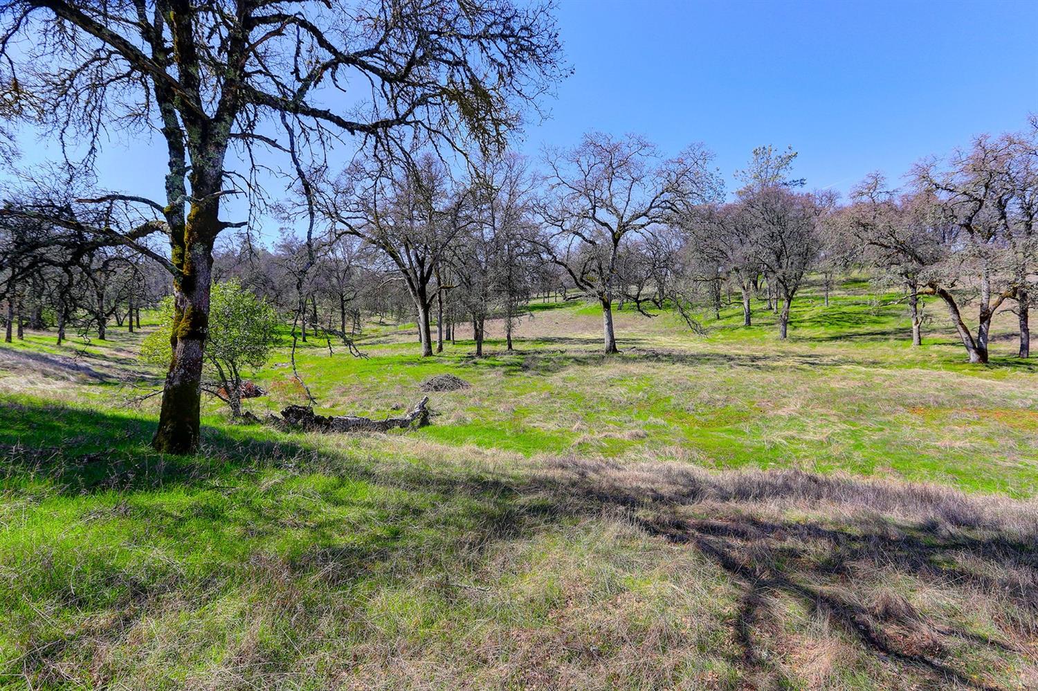 Detail Gallery Image 12 of 19 For 22498 Retherford Road, Auburn,  CA 95602 - – Beds | – Baths