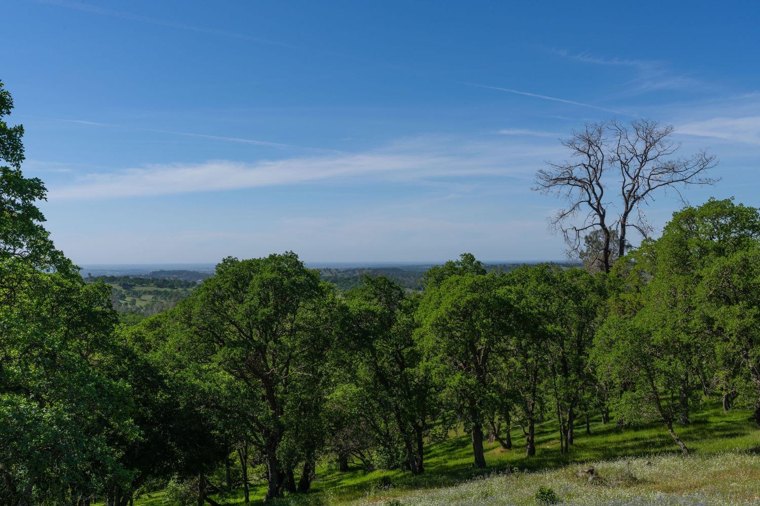 Highway 88, Sutter Creek, California image 13