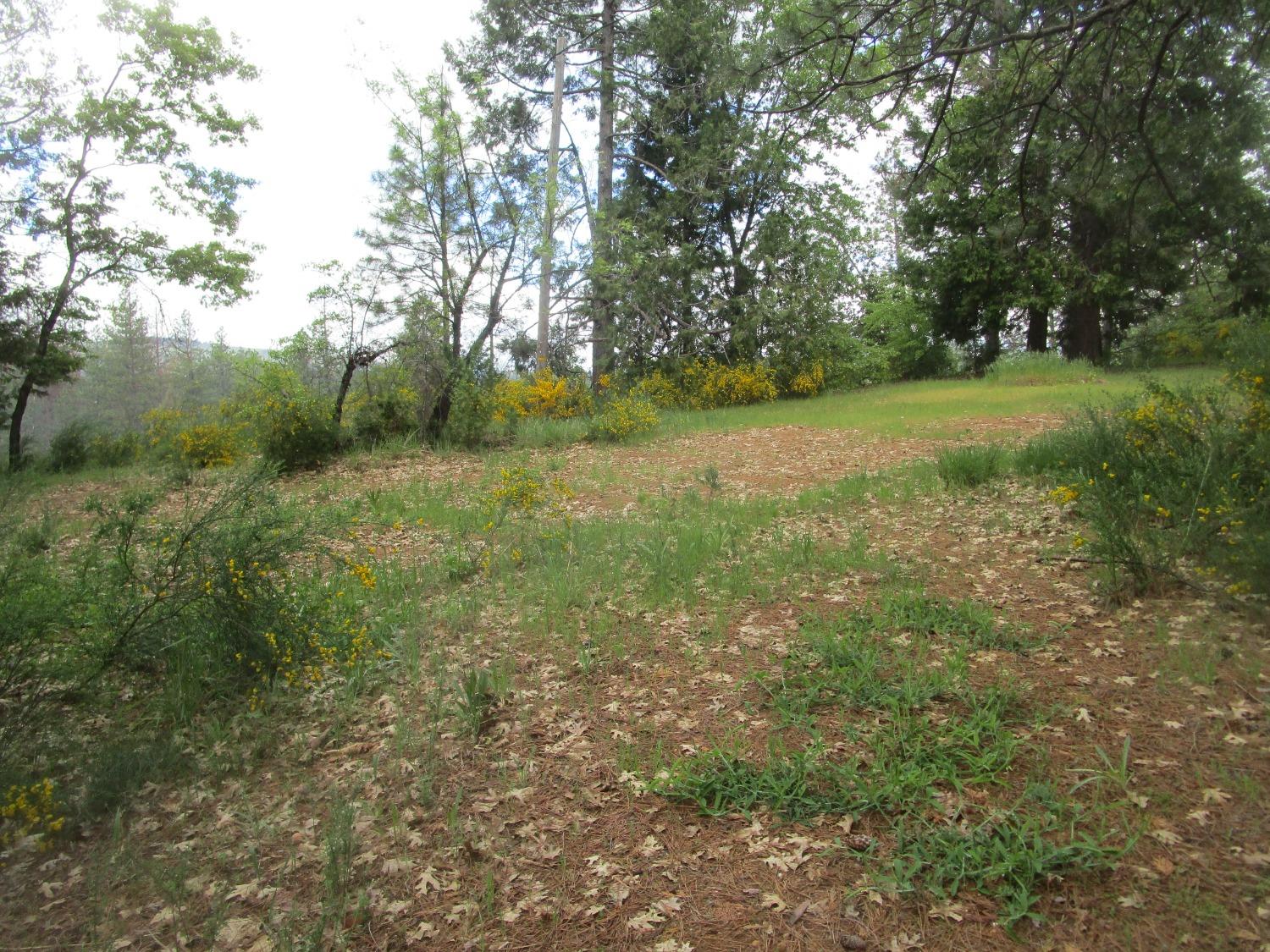 Maiden Lane, North San Juan, California image 6