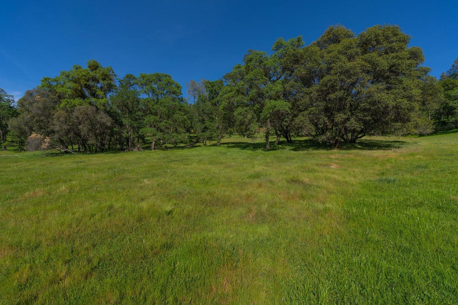 Highway 88, Sutter Creek, California image 38