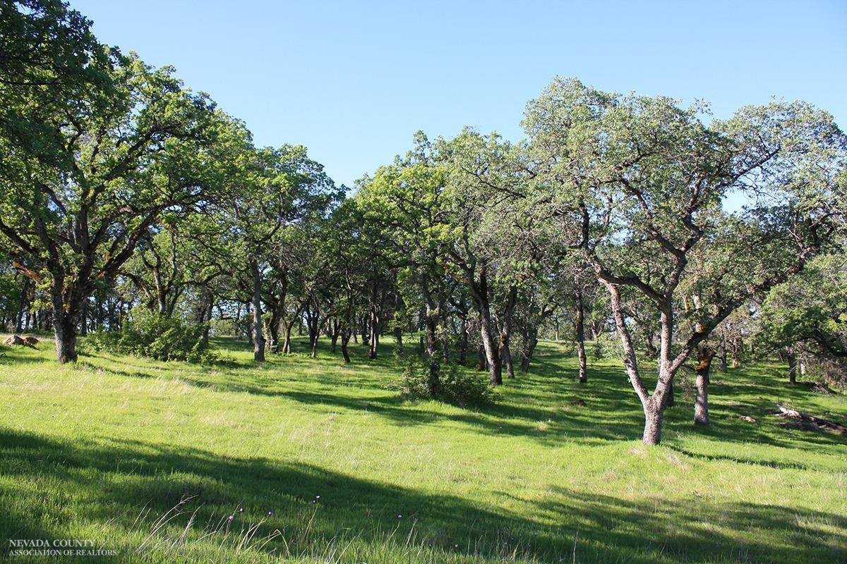 A Riverview Terrace, Smartsville, California image 7