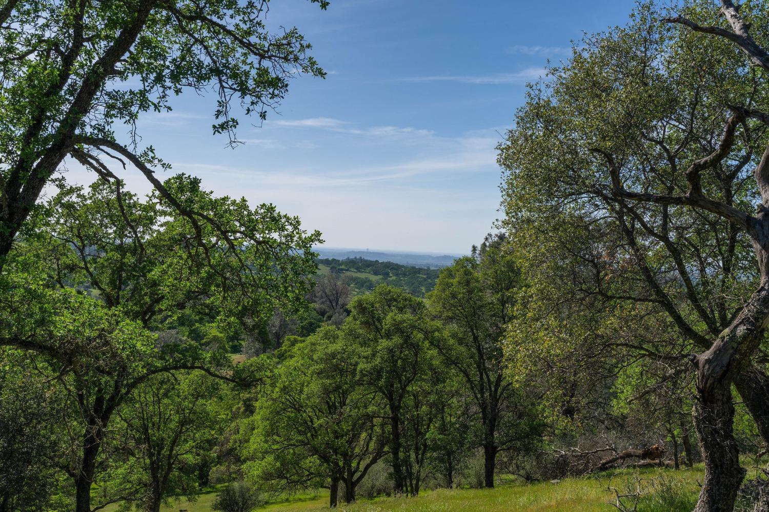 Highway 88, Sutter Creek, California image 29