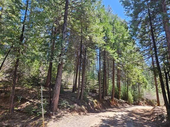 Photo of 1 Indian Diggins Rd in Somerset, CA