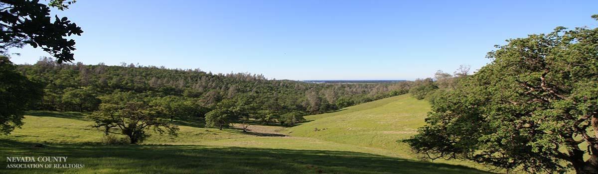 B Riverview Terrace, Smartsville, California image 3