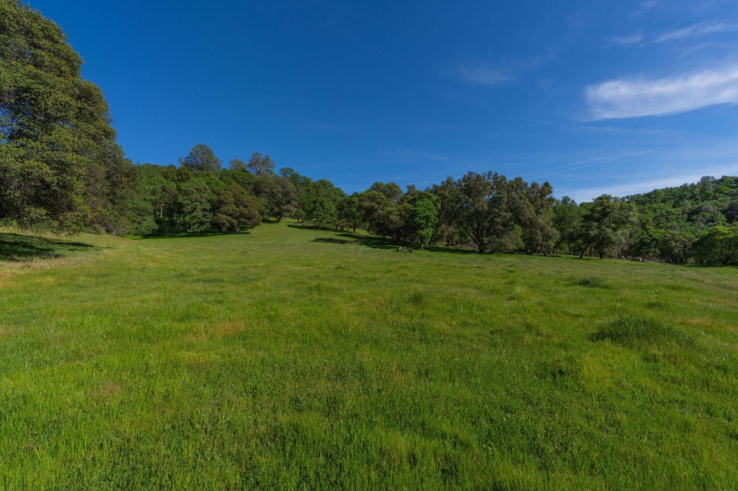 Highway 88, Sutter Creek, California image 39