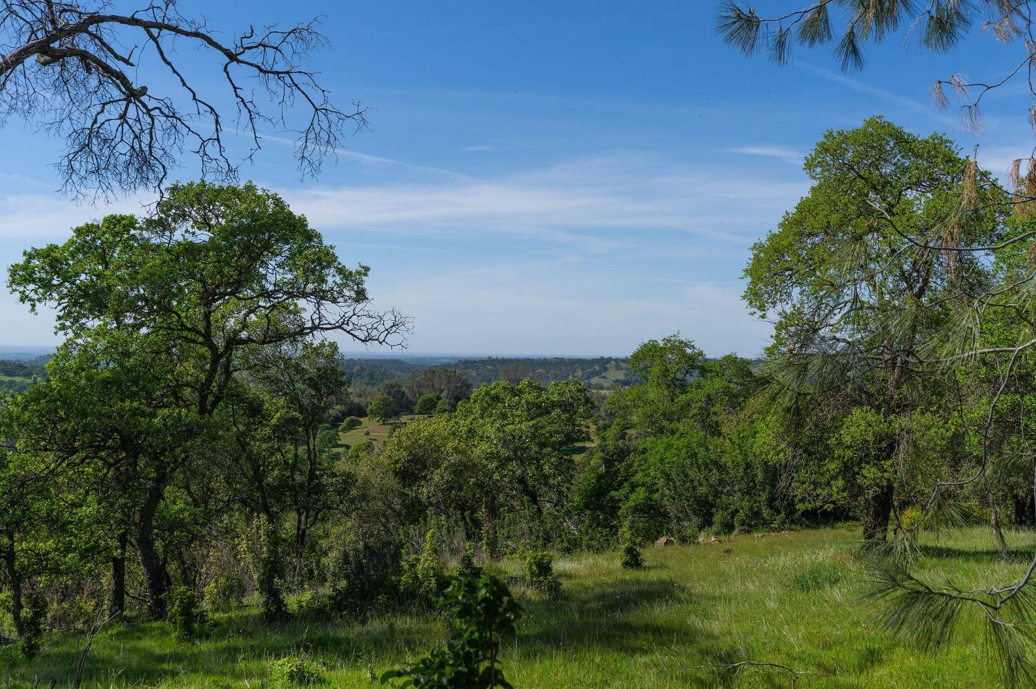 Highway 88, Sutter Creek, California image 21